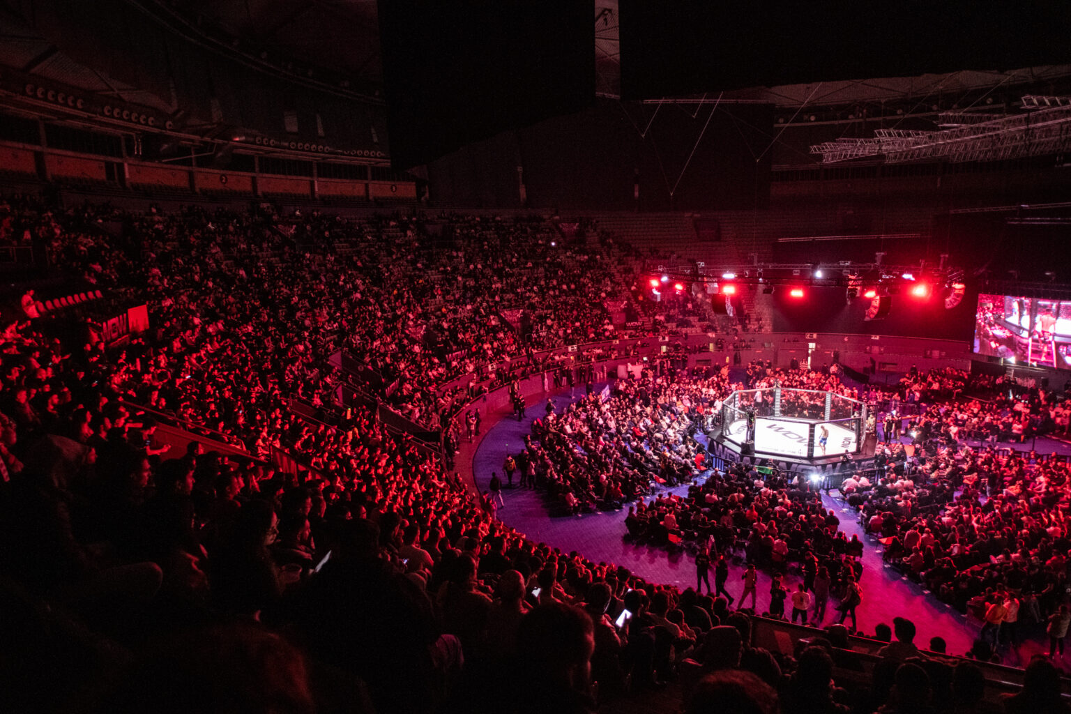 WOW 12 fue un espectáculo de MMA al más alto nivel