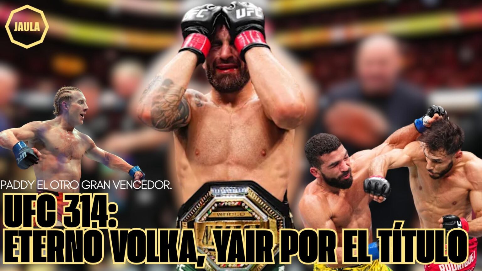 Alexander Volkanovski se impuso a Diego Lopes en UFC 314.